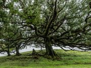 008 Jutta Rueckert 4